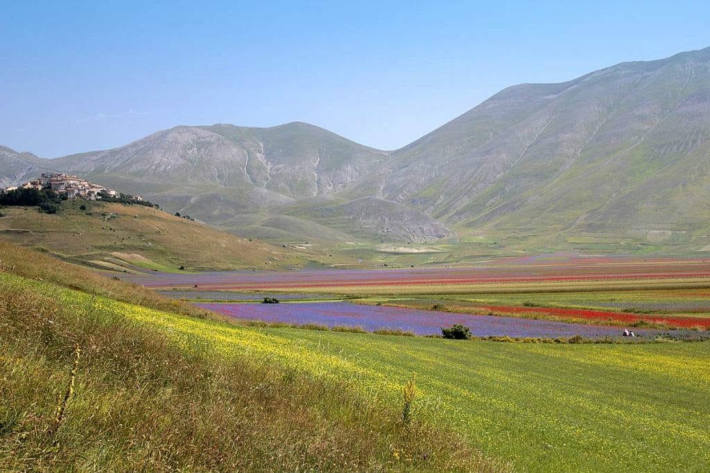 fioritura-castelluccio-di-norcia