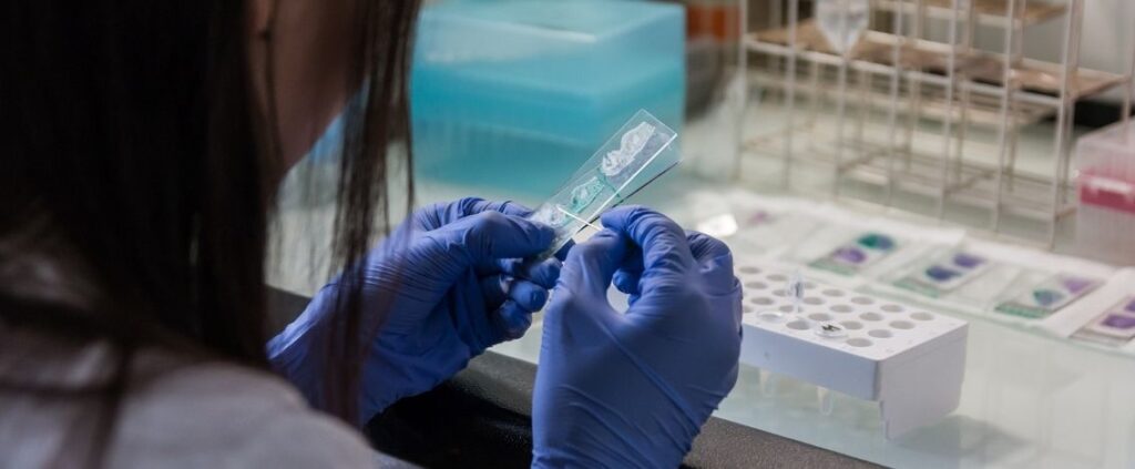 Coronavirus in Italia, il bollettino del 24 aprile 13.817 nuovi casi