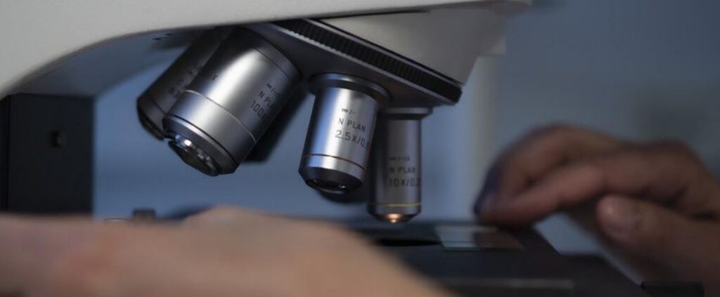 Nuova variante di Omicron isolata in Veneto, ecco di cosa si tratta