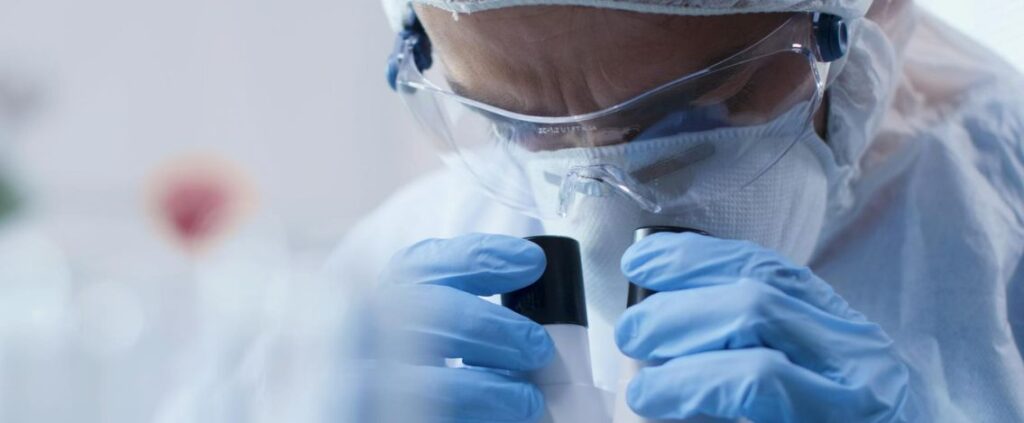 Omicron 4, isolata in Italia la nuova variante del virus