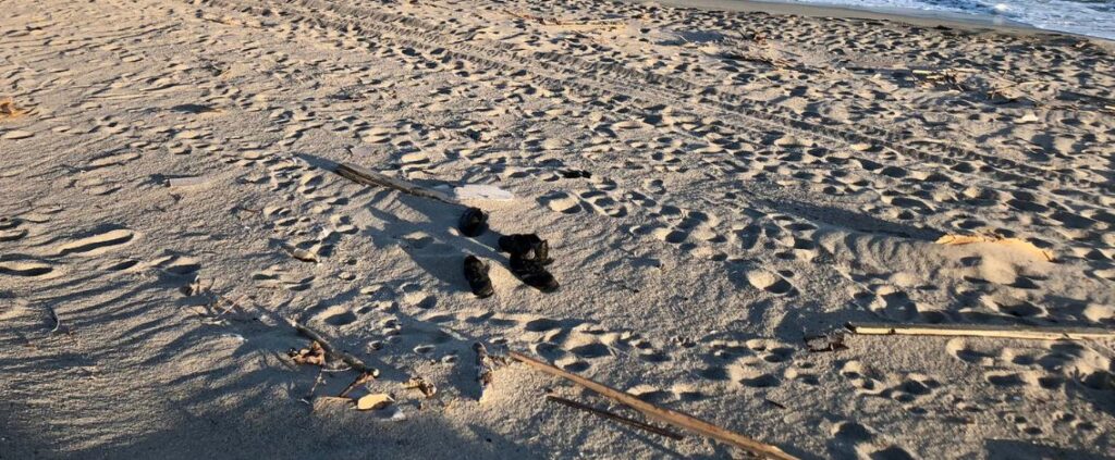 Frontex sul naufragio di Cutro: "segnalammo il pericolo, toccava all'Italia intervenire"