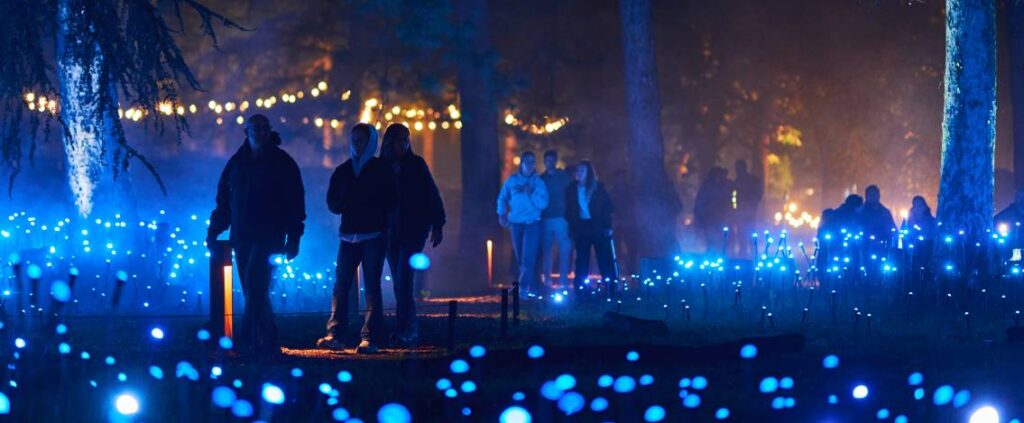 Light Cycles arriva in Italia: in cosa consiste l'esperienza
