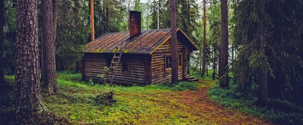 La famiglia che vive nel bosco: una casa che non è più casa, una famiglia smembrata