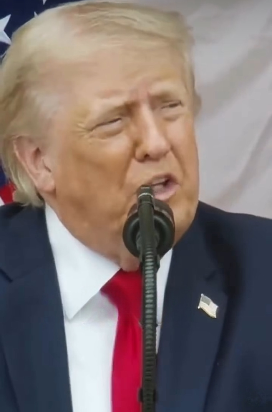 donald trump deluso non solo dall8217italia ma da tutti i leader nato da 361magazine.com donald trump deluso non solo dall8217italia ma da tutti i leader nato