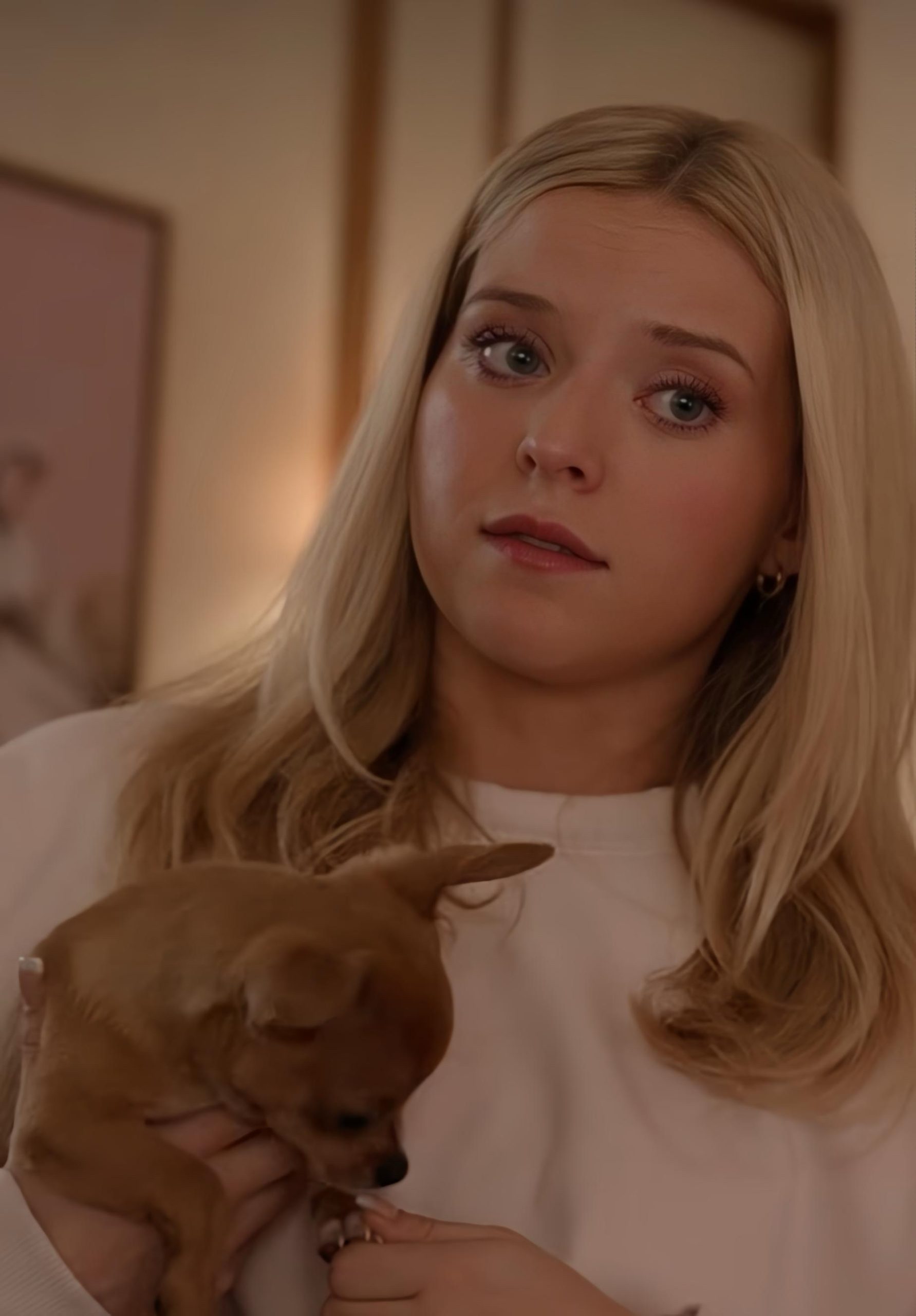 su prime video arriva 8216elle8217 la serie prequel del film cult 8216la rivincita delle bionde8217 da 361magazine.com su prime video arriva 8216elle8217 la serie prequel del film cult 8216la rivincita delle bionde8217